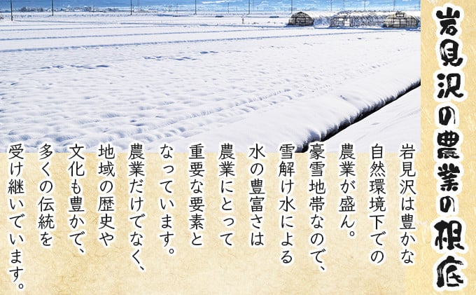 『100%自家生産精米』善生さんの自慢の米 ななつぼし10kg※一括発送 [a104-115]