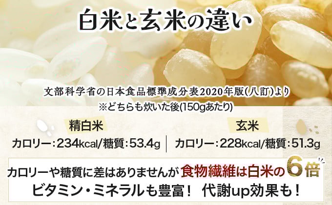 『100%自家生産玄米』善生さんの自慢の米 玄米ななつぼし10kg※一括発送 [a104-116]