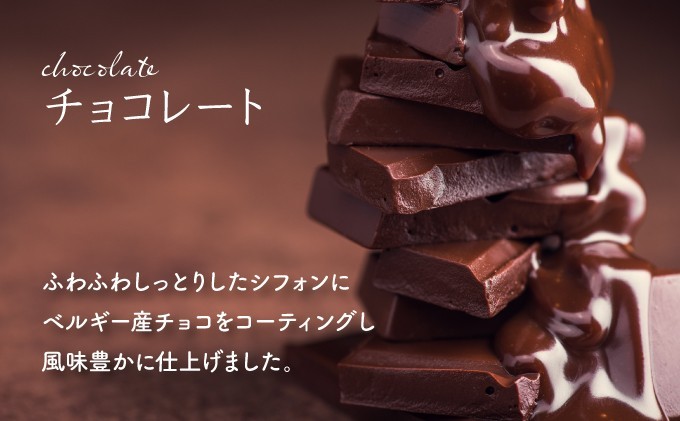 【定期便・全12回】【驚きのふわふわ触感】『ガナッシュシフォンケーキ』キタノカオリ石窯ガナッシュ（2ホール/1セット）×12回 ｜スイーツ チョコ ケーキ プレミアム小麦キタノカオリ100％ パン屋 自家製 朝食 おやつ 冷凍 北海道 岩見沢 [a116-024-12]