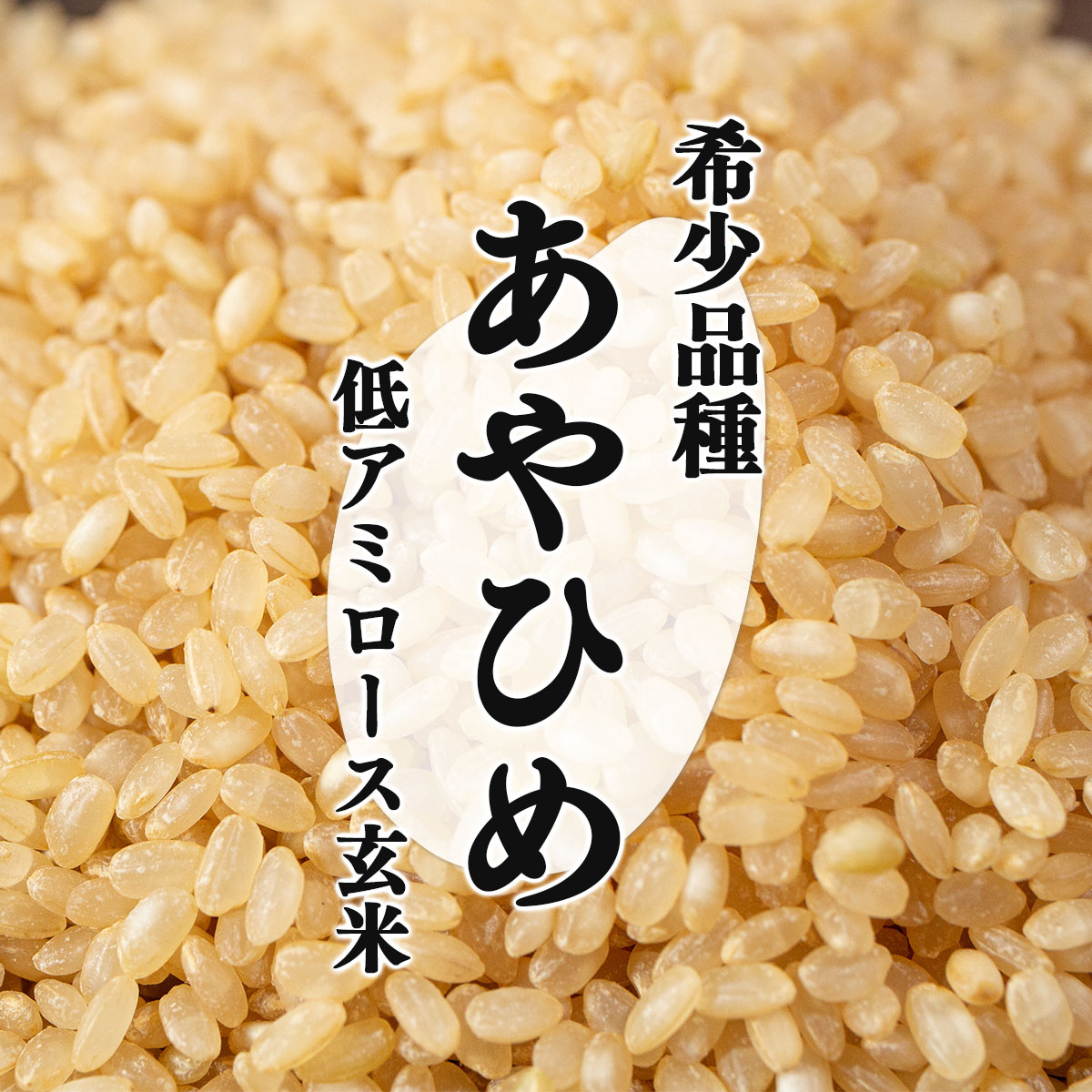 令和7年産 北海道岩見沢市産 あやひめ玄米 10kg ≪沖縄・離島配送不可≫ a124-037-R7