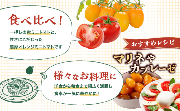 【先行販売】【ファーム雫】食べ比べセット　ミニトマト赤＆オレンジ計２kg【a127-005】