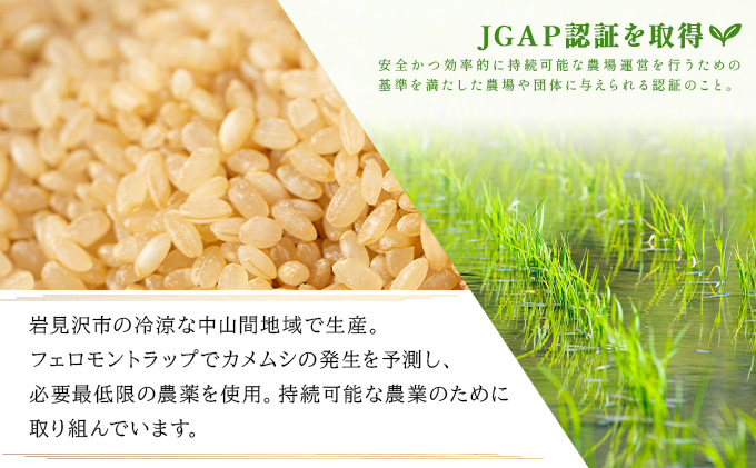 令和7年産！ファーム坂口の特別栽培米 ななつぼし玄米 15kg(5kg×3)