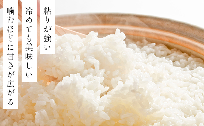 令和7年産!ファーム坂口の特別栽培米 おぼろづき精米 5kg