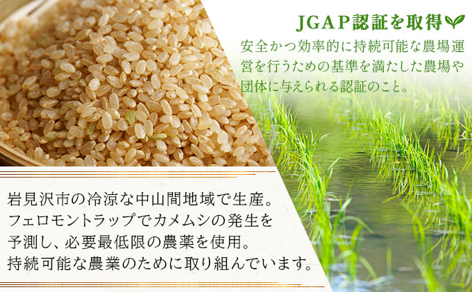令和7年産!ファーム坂口の特別栽培米 おぼろづき玄米 10kg(10kg×1)