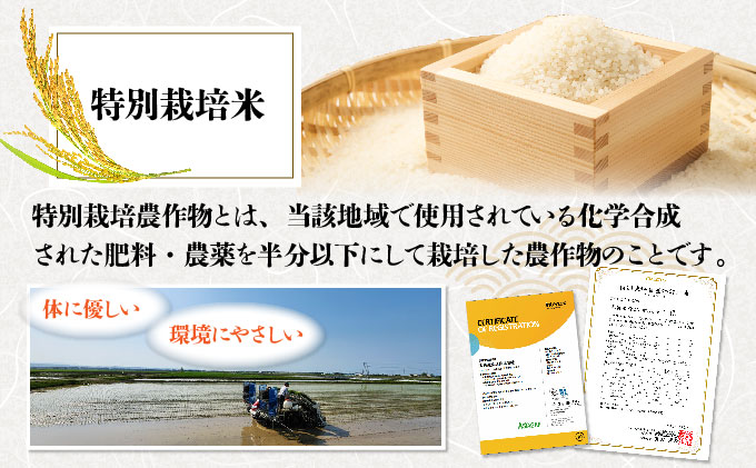 峯さんのじゅんかん育ちⓇ ゆきさやか 4kg[a155-001]