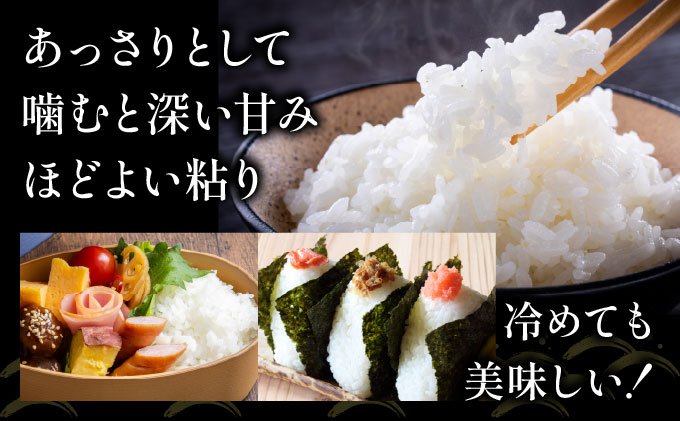 令和7年産 岩見沢産 ななつぼし 5kg 精米【a161-001】