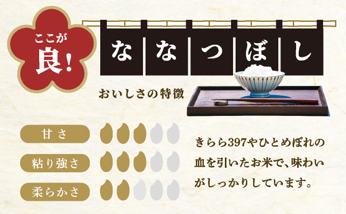 令和7年産 山下商店ななつぼし 5kg | 北海道岩見沢産 ななつぼし 米 白米 お米 岩見沢市