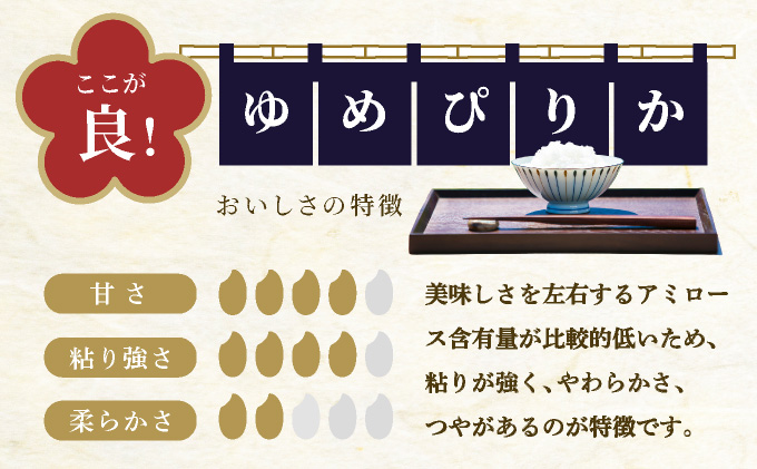 令和7年産 山下商店 ゆめぴりか 5kg | 北海道岩見沢産 ゆめぴりか 米 白米 お米 岩見沢市 [a164-002]