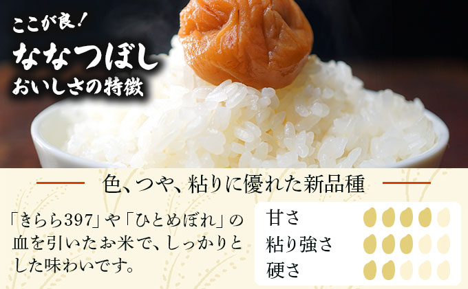 令和7年産 山下商店ななつぼし 20kg | 北海道岩見沢産 お米 白米【a164-005】