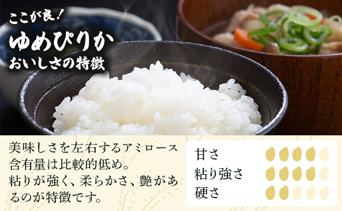令和7年産 ＜定期便3回＞ 山下商店 ゆめぴりか 20kg | 北海道岩見沢産 ゆめぴりか 米 白米 お米 岩見沢市 [a164-022]