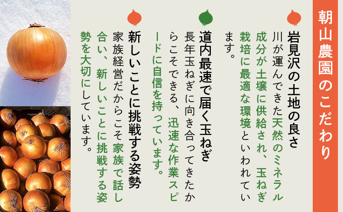 【先行予約】畑から直送の新鮮野菜！玉ねぎ（SN-3）20kg【a168-003】