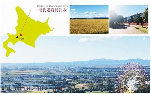 令和5年産【メール受付限定】北海道米3種から選択可能【10・×3回分】お好きなタイミングでお届け可能＊ネット申込限定【01201】[a101-001]