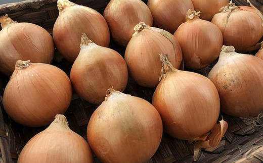 北海道岩見沢市産 玉ねぎMサイズ10kg【09126】[a107-027]