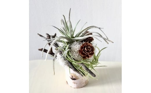 【ギフト用】美流渡の森 アーティフィシャルフラワー・アレンジメント（白樺ポットシリーズ）1【12239】[a110-039]