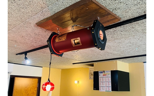 『あなたがまだ聴いたことのない響き』レインスピーカー・ウッドコーン【15009】[a112-005]