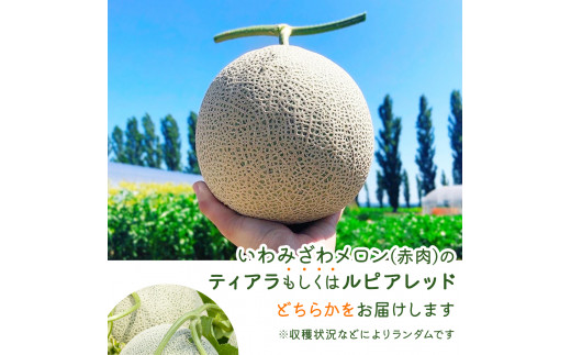 ＜先行予約＞産地直送！北海道『いわみざわメロン2玉（赤肉）』2026年夏にお届け！【18106】[a115-028]
