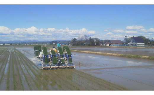 【令和5年産】北海道岩見沢産くすのきファームのななつぼし玄米（30Kg）【34134】[a123-034]