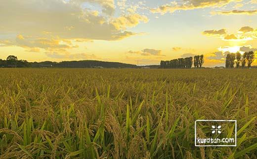 5品種頒布会　令和5年産北海道岩見沢産米　岩見沢米3kg×5回≪沖縄・離島配送不可≫【35043】[a124-013]