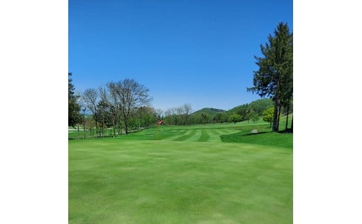 岩見沢パブリック雉ヶ森ゴルフコース カップ位置指定及びカップ切り体験・プレー券【48101】[a133-001]