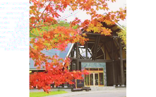 【返礼品なし】岩見沢市 寄附のみ応援 10,000円【応援寄附】[a139-008]