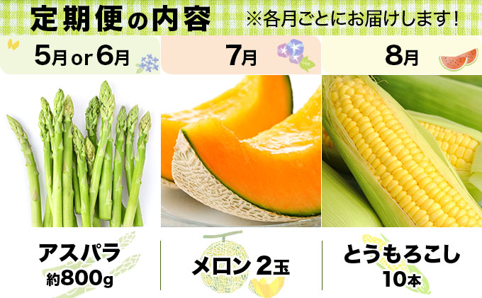 いわみざわの新鮮農産物セット(5or6月～11月 全6回)※定期便【11106】[a109-006]