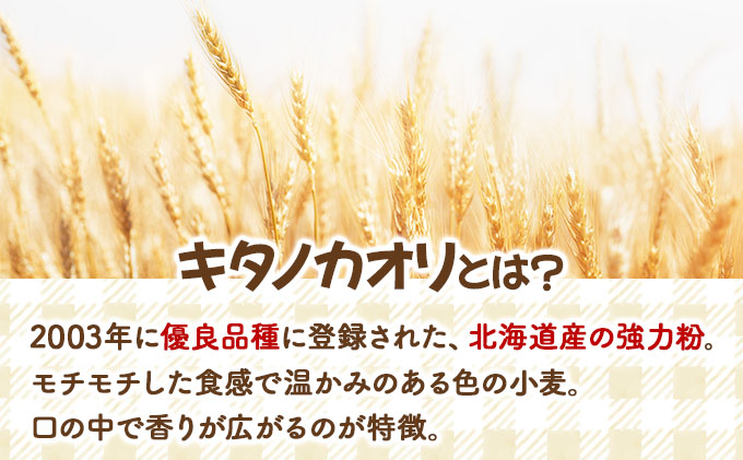 『こだわりの北海道産小麦のパンセット』石窯で焼き上げたお任せパンセット【19101】[a116-001]