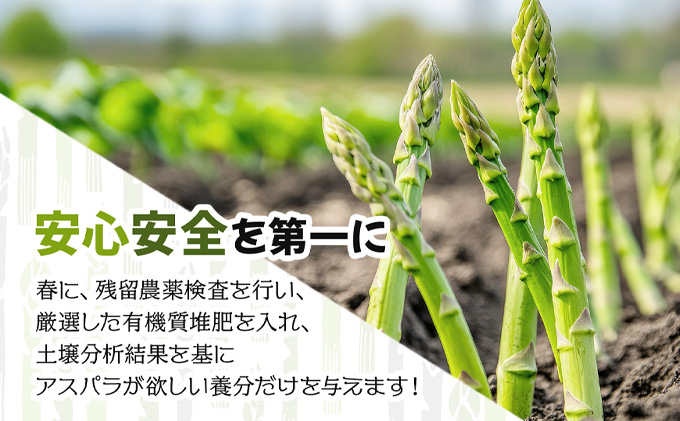 【先行予約／令和8年産】北海道岩見沢産　夏グリーンアスパラ　L～2Lサイズ 1kg【41104】[a129-002]