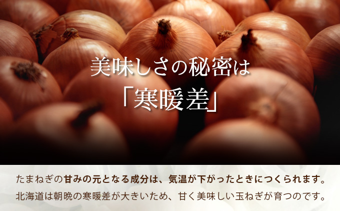 真珠の玉葱 Lサイズ10kg ≪海のミネラルで育てた玉葱≫【50104】[a134-004]