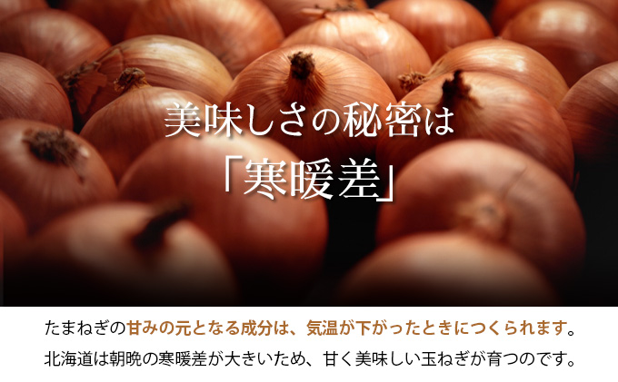 真珠の玉葱 空知黄10kg ≪海のミネラルで育てた幻の玉葱空知黄≫【50106】[a134-006]