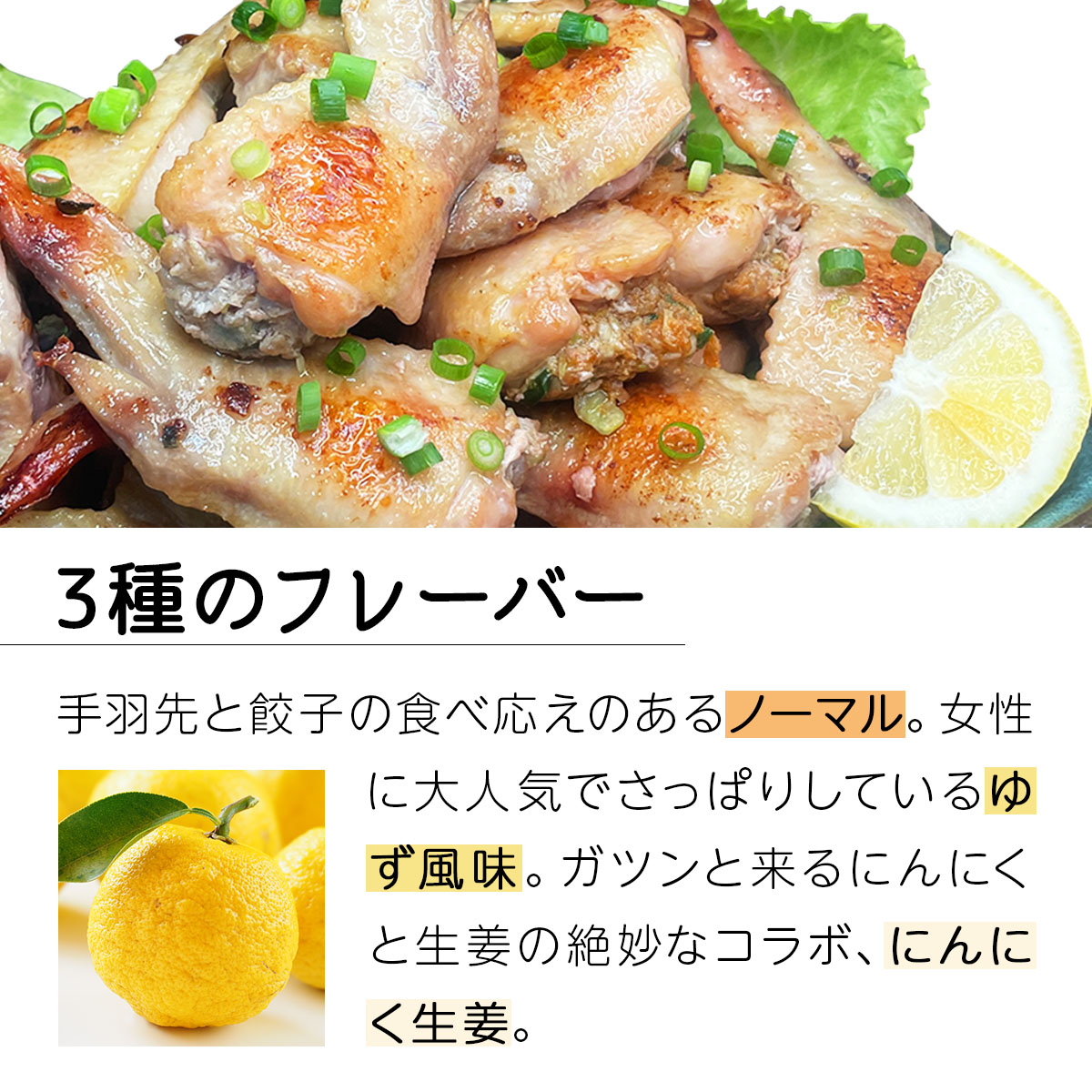 北海道産鶏肉を使った手羽先餃子【北の手羽ぎょうざ】15個セット(5個×3袋)≪配送地域限定≫【53101】[a136-001]