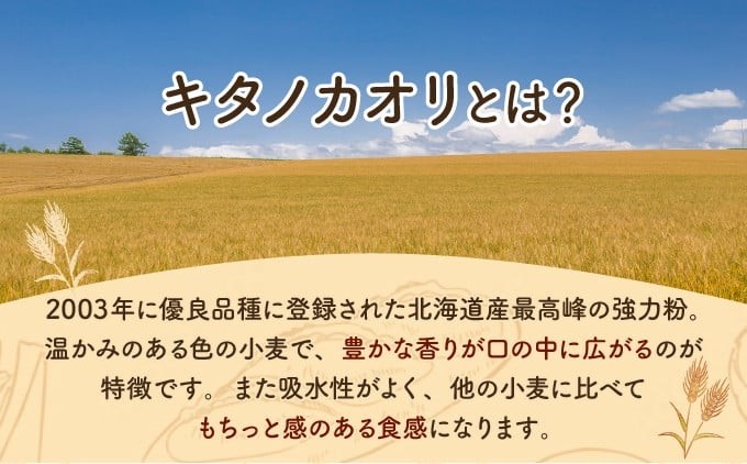 【定期便・全12回】【驚きのふわふわ触感】『ガナッシュシフォンケーキ』キタノカオリ石窯ガナッシュ（2ホール/1セット）×12回 ｜スイーツ チョコ ケーキ プレミアム小麦キタノカオリ100％ パン屋 自家製 朝食 おやつ 冷凍 北海道 岩見沢 [a116-024-12]