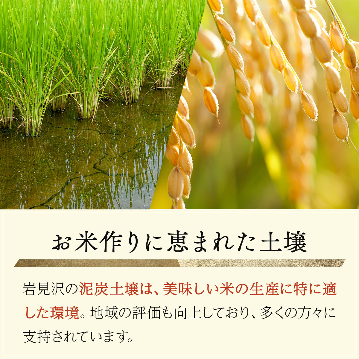 令和7年産 北海道 岩見沢市産 おぼろづき 玄米 5kg ≪沖縄・離島配送不可≫ a124-035-R7