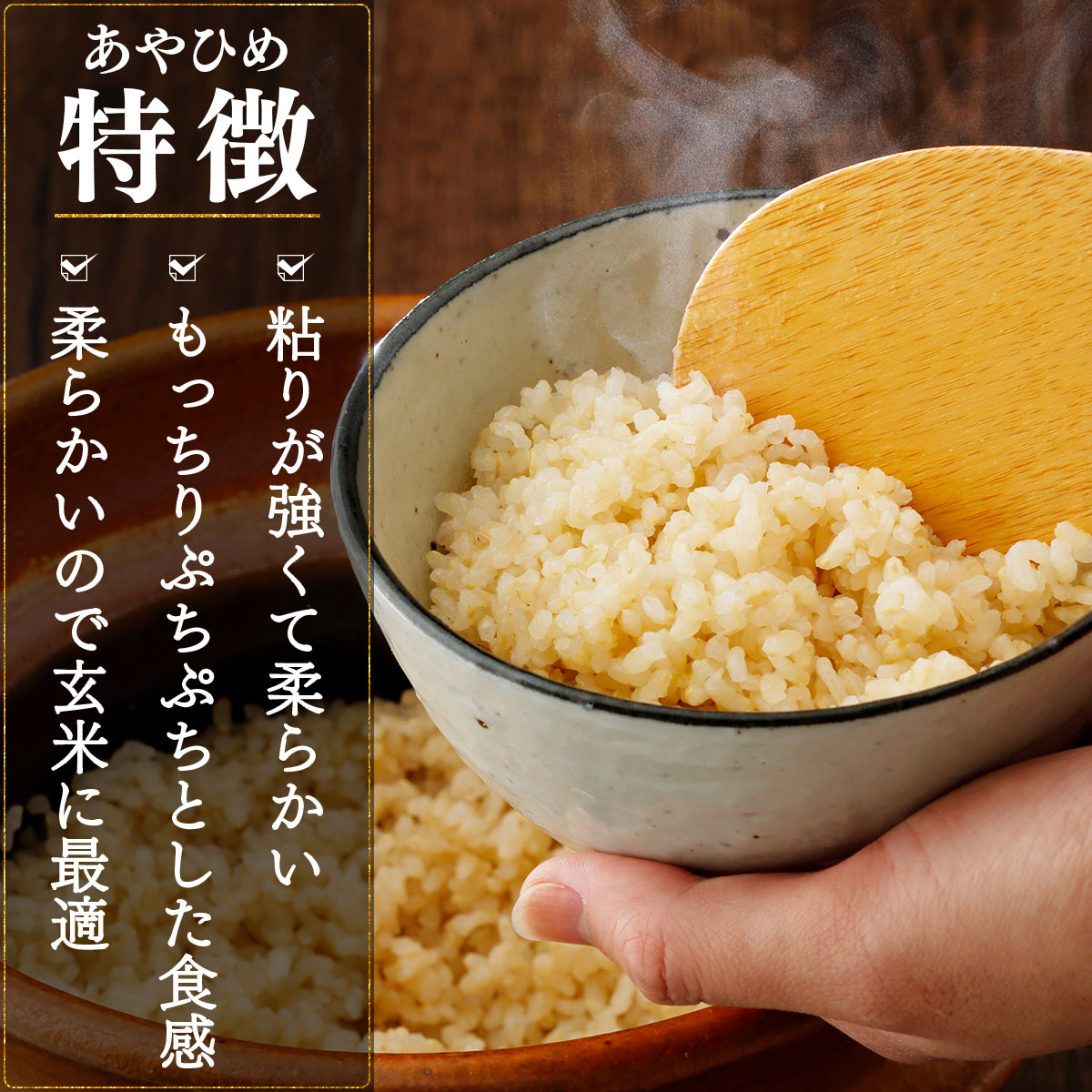令和7年産 北海道岩見沢市産 あやひめ玄米 10kg ≪沖縄・離島配送不可≫ a124-037-R7