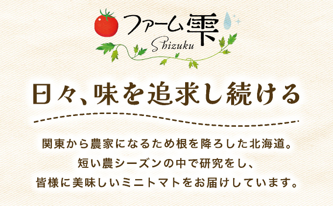 空知の恵みをギュッと凝縮 そらちのしずくトマトソース ２袋【a127-006】
