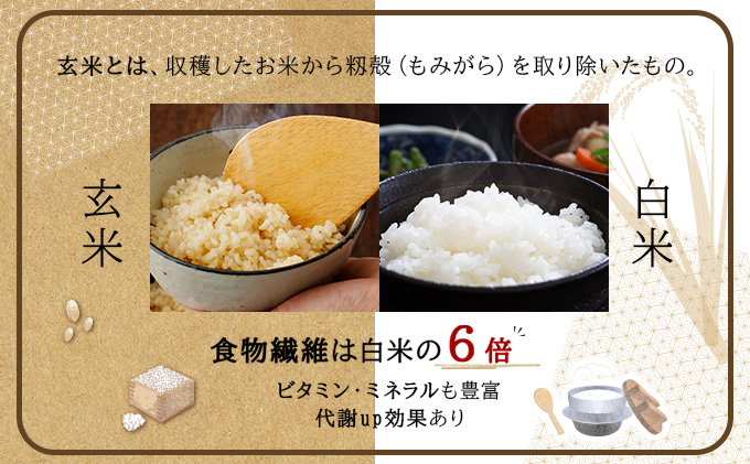 令和7年産！ファーム坂口の特別栽培米 ななつぼし玄米 15kg(5kg×3)
