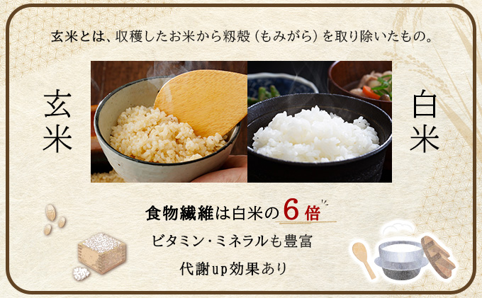 令和7年産！ファーム坂口の特別栽培米 ゆめぴりか玄米 15kg(5kg×3袋)