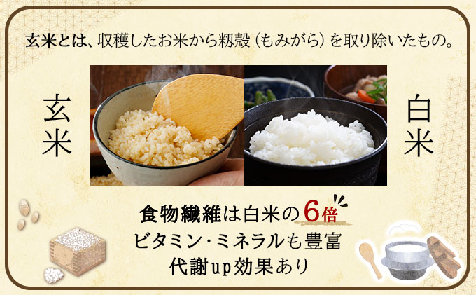 令和7年産!ファーム坂口の特別栽培米 おぼろづき玄米 10kg(5kg×2)