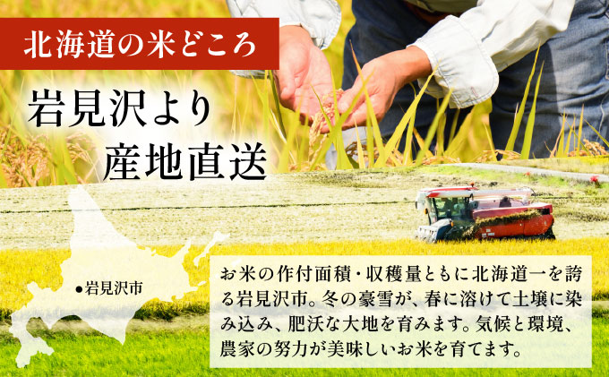 令和7年産 岩見沢産 ななつぼし 10kg (5kg×2袋) 精米 a161-001