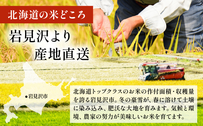 令和7年産 岩見沢産 ななつぼし 5kg 精米【a161-001】