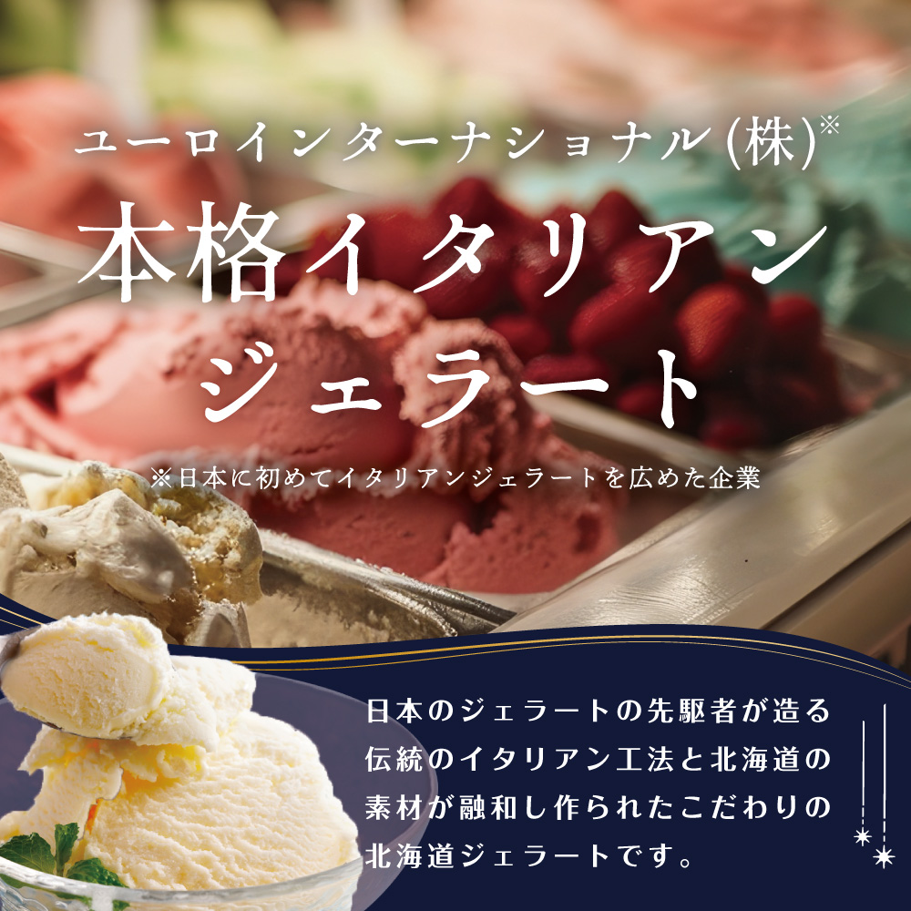 STELLA CIELO 北海道ジェラート4個 カラフル | 北海道ミルク チョコラータ 北海道赤肉メロン 北海道ハスカップ