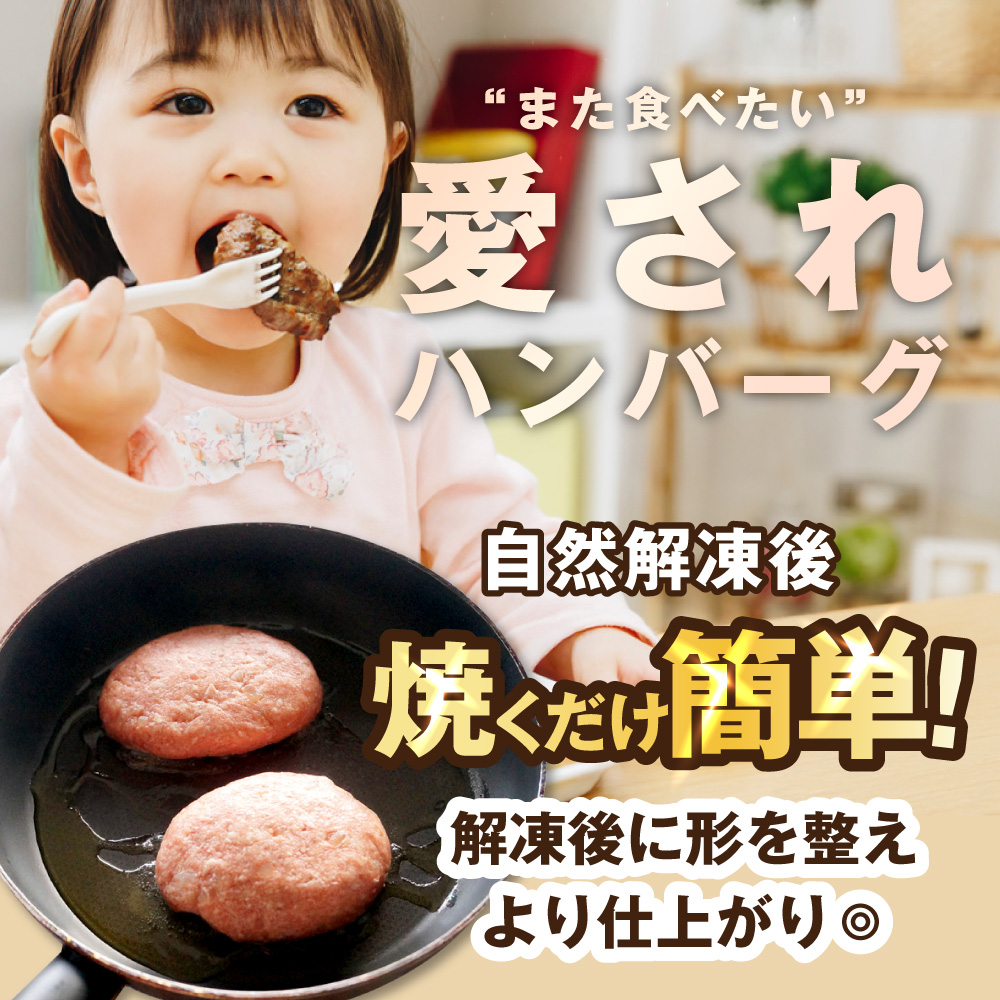 生ハンバーグ 1.44kg(120g×12個) [a163-036]
