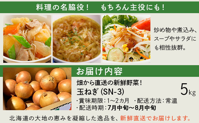 【先行予約】畑から直送の新鮮野菜！玉ねぎ（SN-3）5kg【a168-001】