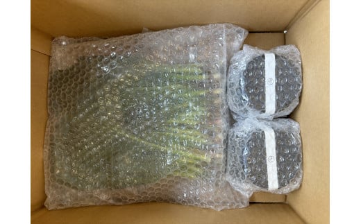 行者にんにくセット（生の行者にんにく葉・行者にんにくぴりから醤油漬けのセット）[a107-034]