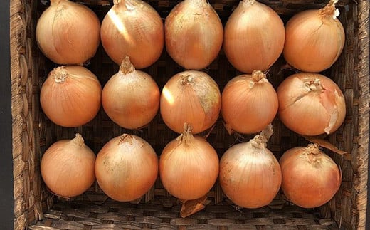 北海道岩見沢市産 玉ねぎMサイズ10kg【09126】[a107-027]