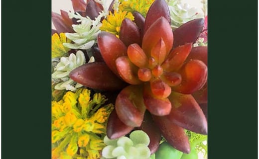 【ギフト用】美流渡の森 アーティフィシャルフラワー・アレンジメント 多肉植物 ラウンドアレンジメント(ブラウン)【12216】[a110-016]