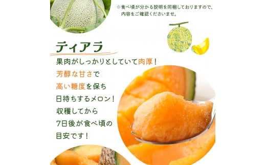 ＜先行予約＞産地直送！北海道『いわみざわメロン2玉（赤肉）』2026年夏にお届け！【18106】[a115-028]