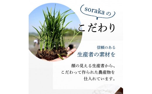 岩見沢産米粉使用、グルテンフリー製法のエクレア6本詰め合わせ【24025】[a118-004]