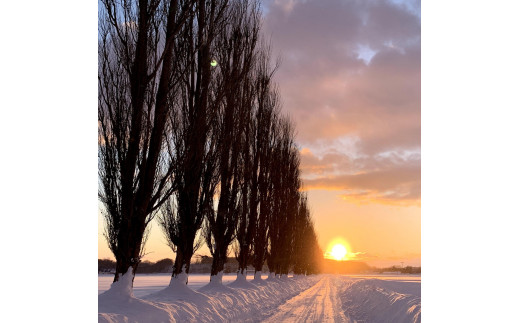【返礼品なし】岩見沢市 寄附のみ応援 5,000円【応援寄附】[a139-007]