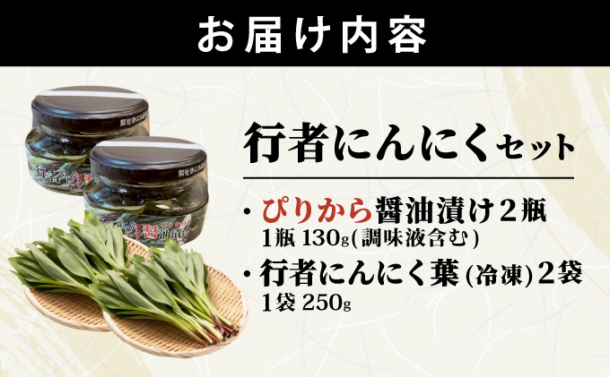 行者にんにくセット（生の行者にんにく葉・行者にんにくぴりから醤油漬けのセット）[a107-034]