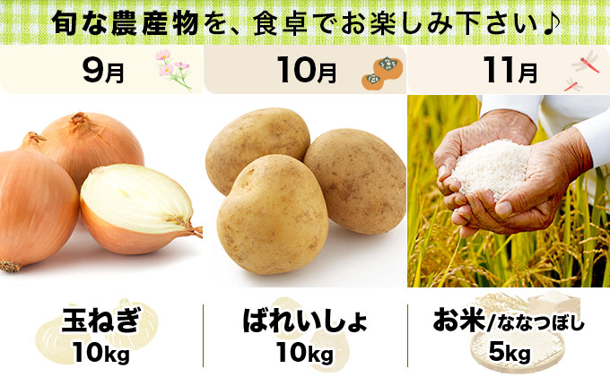 いわみざわの新鮮農産物セット(5or6月～11月 全6回)※定期便【11106】[a109-006]